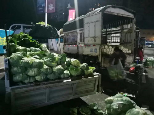 川祖廟農(nóng)貿(mào)市場整體搬遷，京投果蔬農(nóng)副產(chǎn)品批發(fā)市場引領(lǐng)忠縣商貿(mào)流通業(yè)轉(zhuǎn)型升級